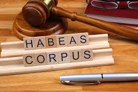 Habeas Corpus Lawyer 1