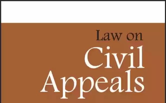 Civil Appeals Process 1