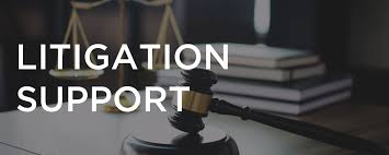 Litigation Support